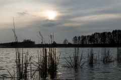 e-fischen_20